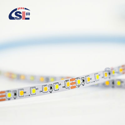 Hoge Lumen 12v24v 8mm 120 leds 3000 K-6500 K CCT Dual Color Stansen Board SMD2835 LED Strip Licht