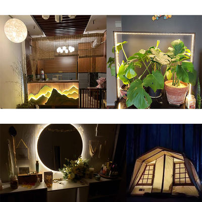 Interieur decoratie 3000K/4000K/6500K Flexible Electroplate SMD2835 LED Strip Light 5V 8mm 120LED's