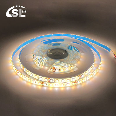10mm 240leds 3000K-6500K CCT Waterdicht ip65 dubbele kleur SMD2835 Led Strip Light 12v24v