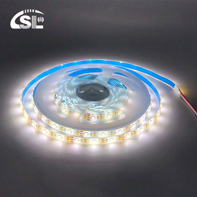 10mm 240leds 3000K-6500K CCT Waterdicht ip65 dubbele kleur SMD2835 Led Strip Light 12v24v