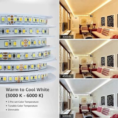 Aanpasbare kleurtemperatuur LED-strooklicht 120 LED's/m Dubbelkleurig 8 mm Niet waterdicht