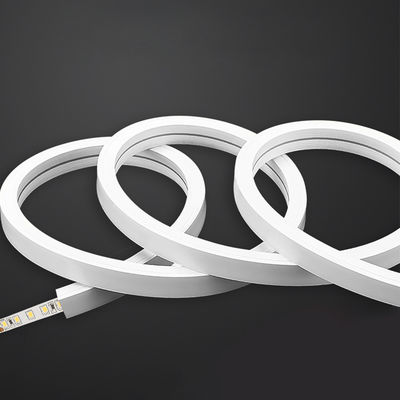 Kleurrijk gescheiden neon LED-strooklicht met 5V 12V 24V AC220V stroomvoorziening