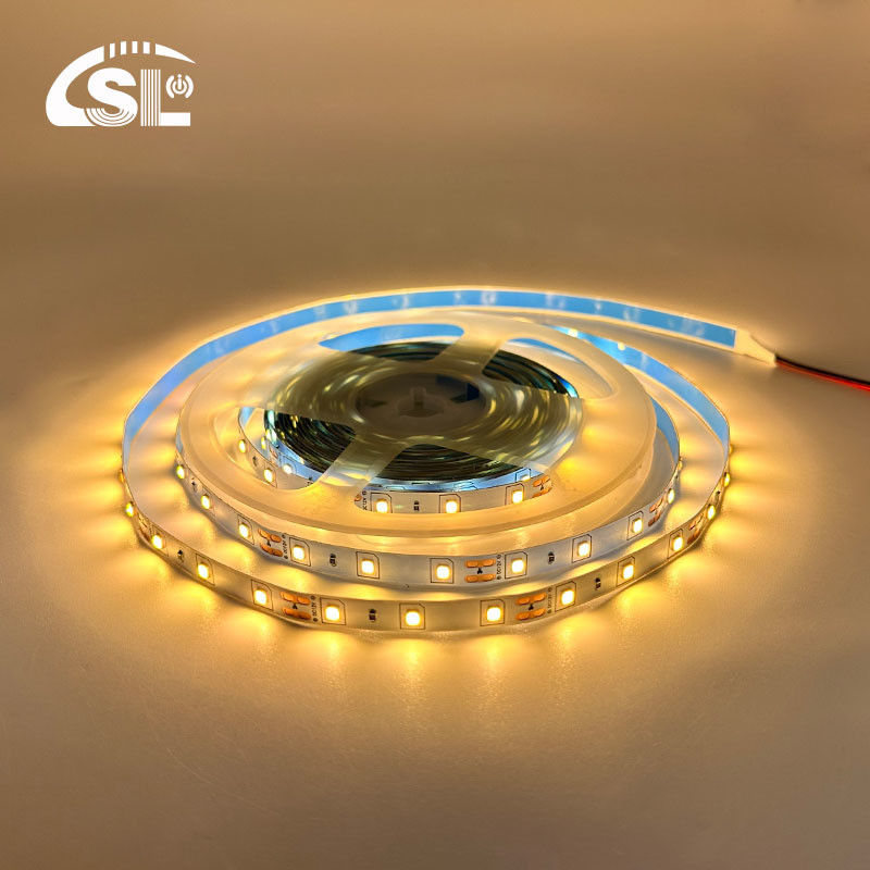 Flexibel DC12V24V 8mm10mm 60leds 3000K Warm White Die-Board SMD2835 voor Hotelverlichting