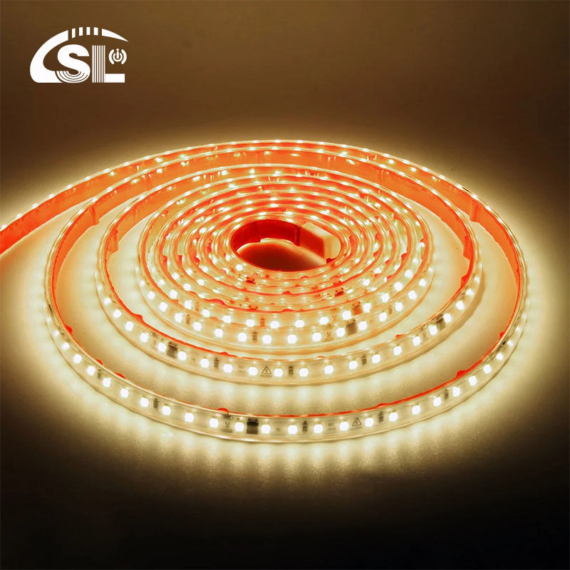 120 LED's 10W/m Hoogspannings LED-strooklicht AC110V 220V IP65 Waterdicht SMD 2835