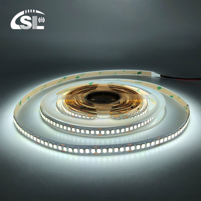 8mm 240leds 6500K Cold White SMD2835 Led Strip Light met afstandsbediening