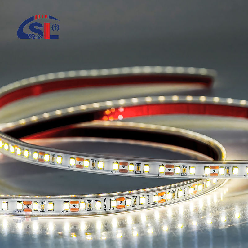 Waterdicht IP67 12V 24V LED-strook Wit Warm Wit 2835 120LEDs/m voor buitentuin