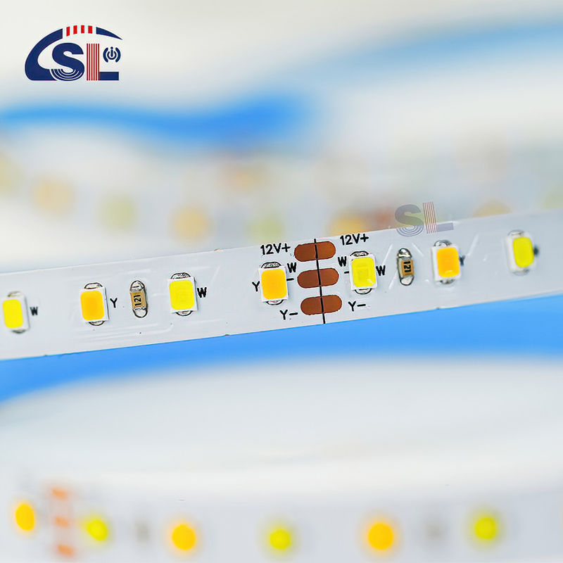 Gepersonaliseerd CCT 12V24V 8mm 120leds 3000K-6500K Warm White-White SMD2835 Led Strip Light